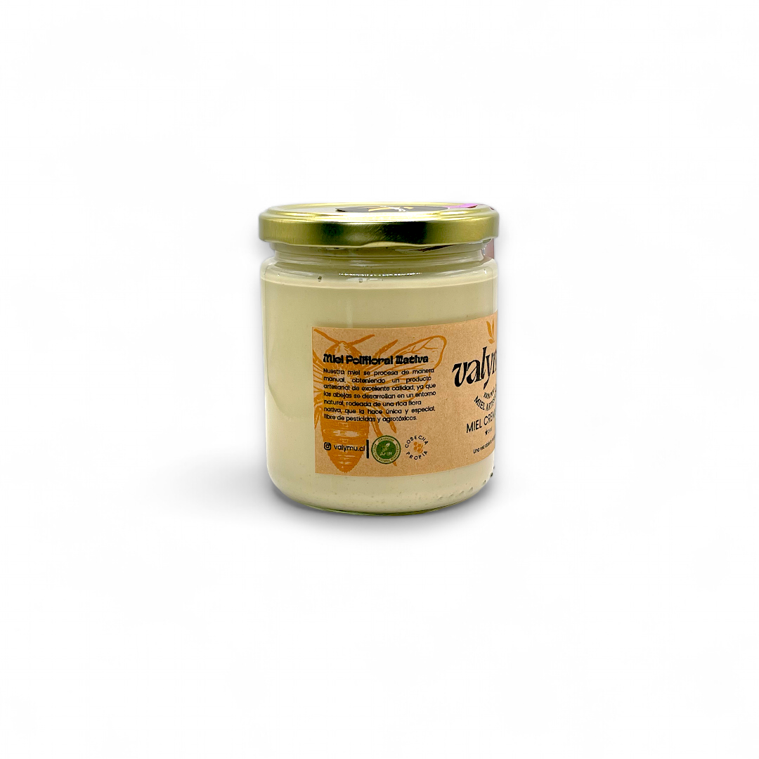 Miel Cremada de Quillay Valymu (500g) | Cremosa, 100% Natural y del Bosque Nativo