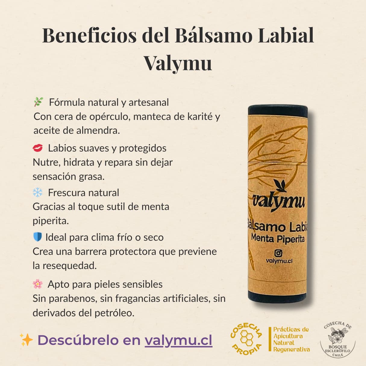 Bálsamo Labial de Menta Piperita – Hidratación y Frescura Natural