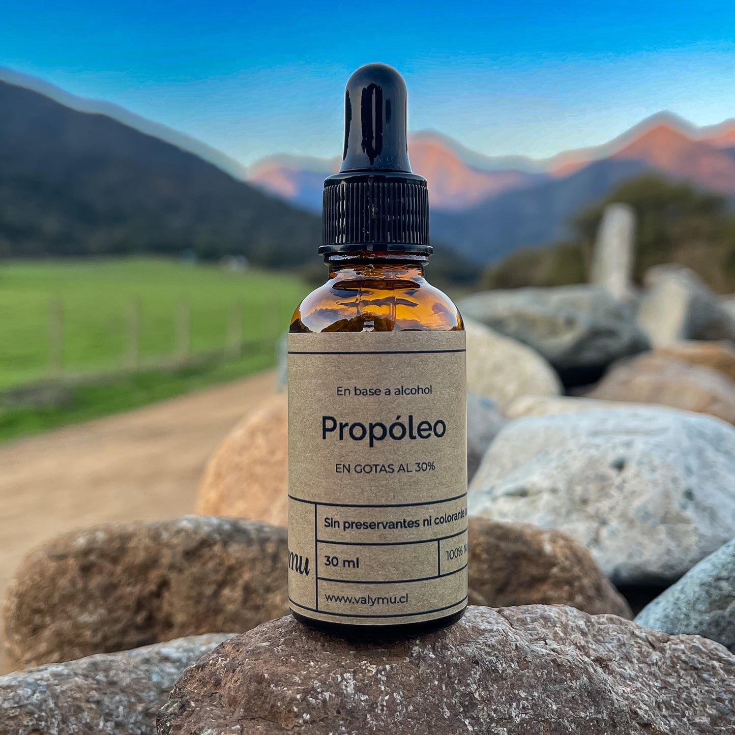 Extracto de Propóleo 30% en Gotas – Refuerzo Inmune Natural y Potente (30 ml)