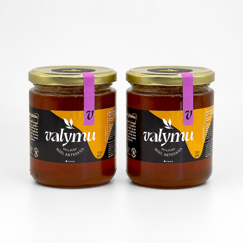 Dos frascos de Miel de Quillay Pura Valymu