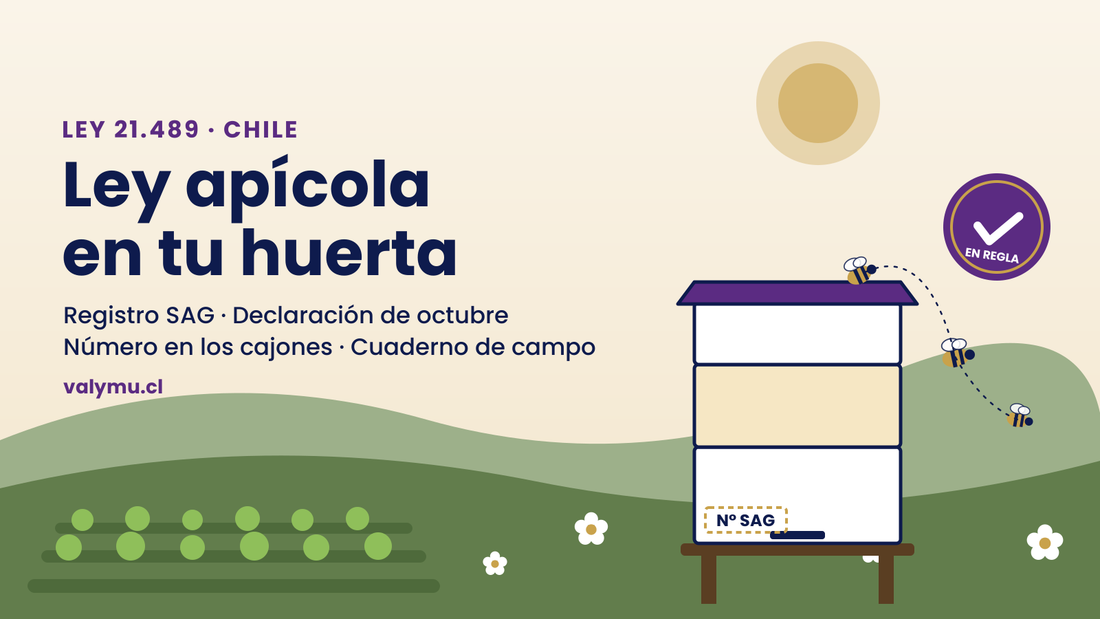 Ilustración de una colmena en una huerta con el número de registro SAG marcado en el cajón: Ley apícola en Chile, Ley 21.489