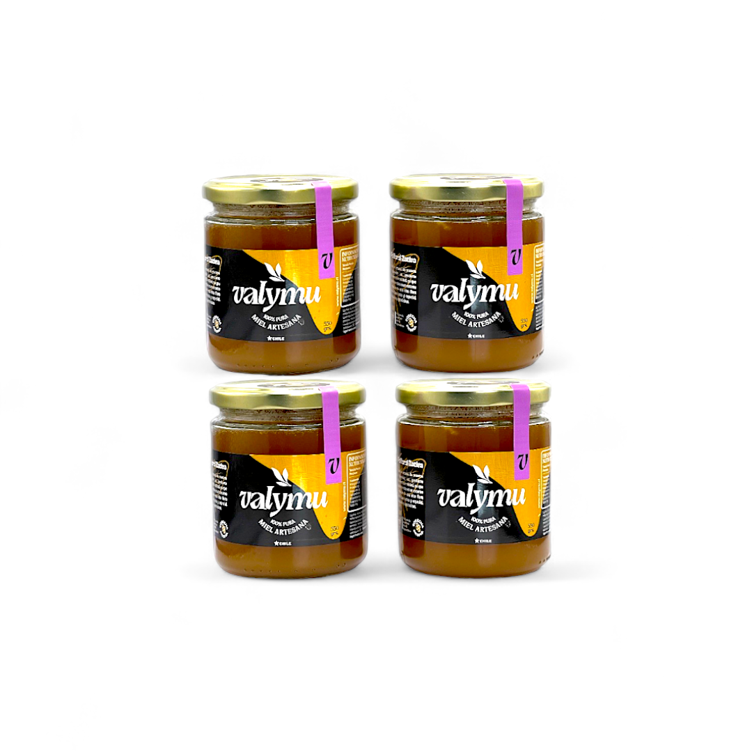 Pack x4 Miel de Quillay – 550g c/u | Floral, Pura y sin Aditivos