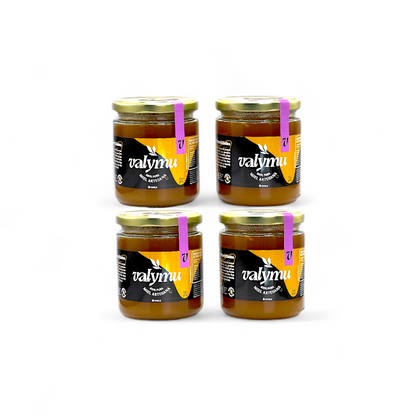 Pack x4 Miel de Quillay – 550g c/u | Floral, Pura y sin Aditivos