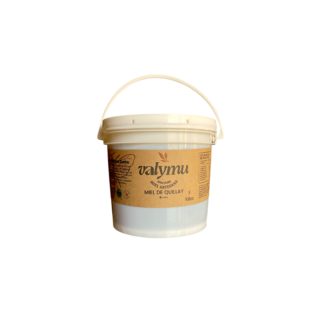 Balde de 5 Kilos de Miel de Quillay 100% Pura – Oferta Especial