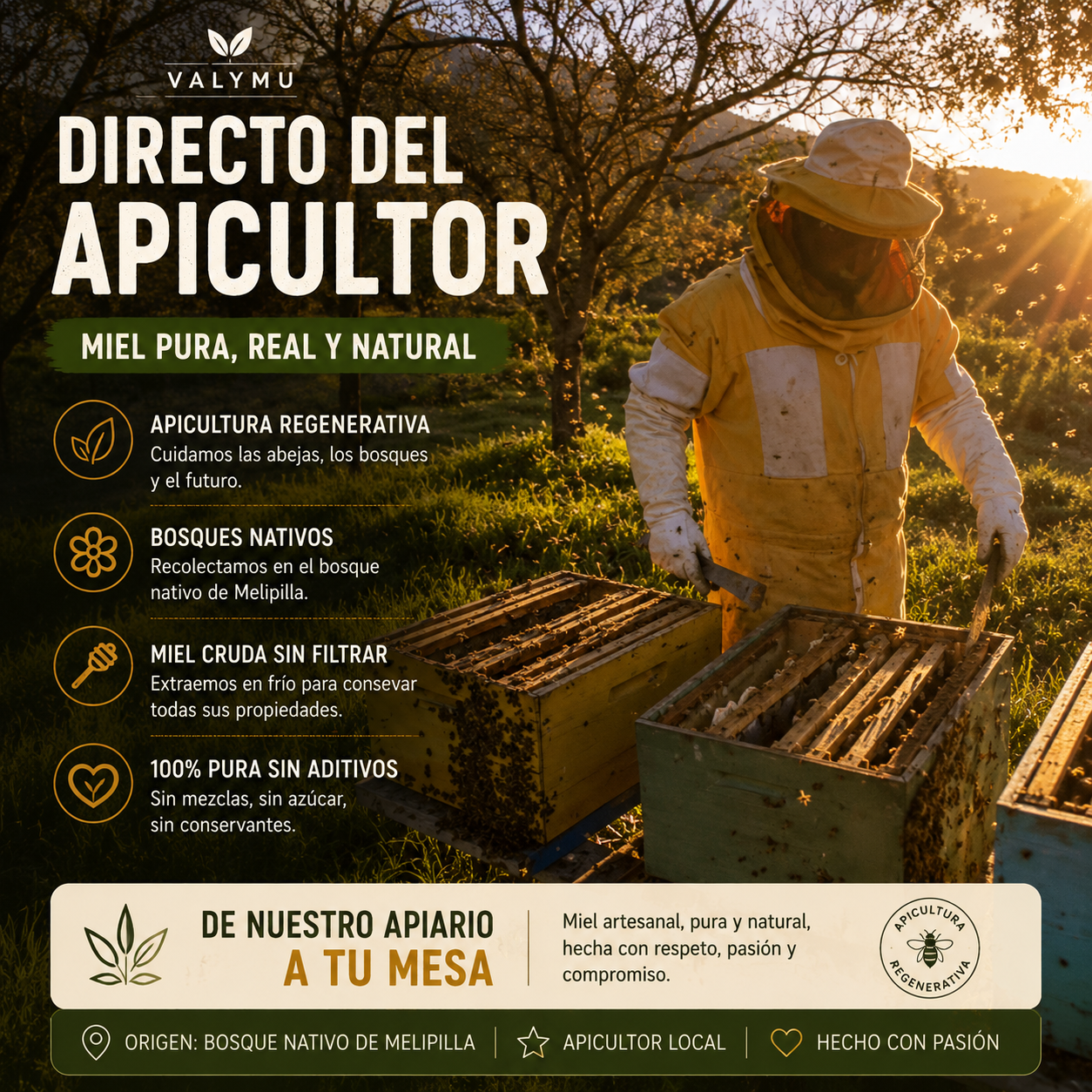 Miel de Quillay 5 Kg | Balde de Miel Pura 100% Natural