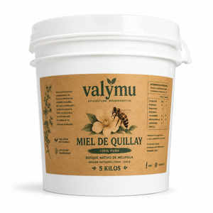 Balde de Miel de Quillay Valymu 5 kg, imagen de producto