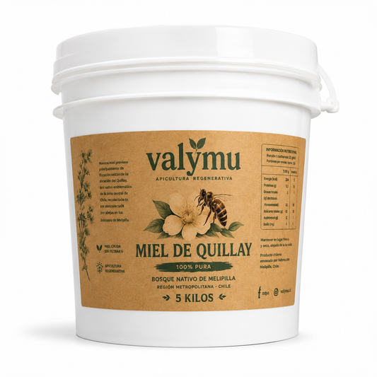 Miel de Quillay 5 Kg | Balde de Miel Pura 100% Natural