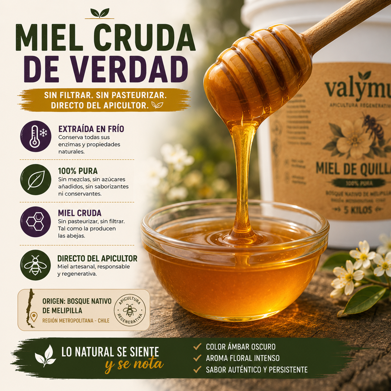 Miel de Quillay 5 Kg | Balde de Miel Pura 100% Natural