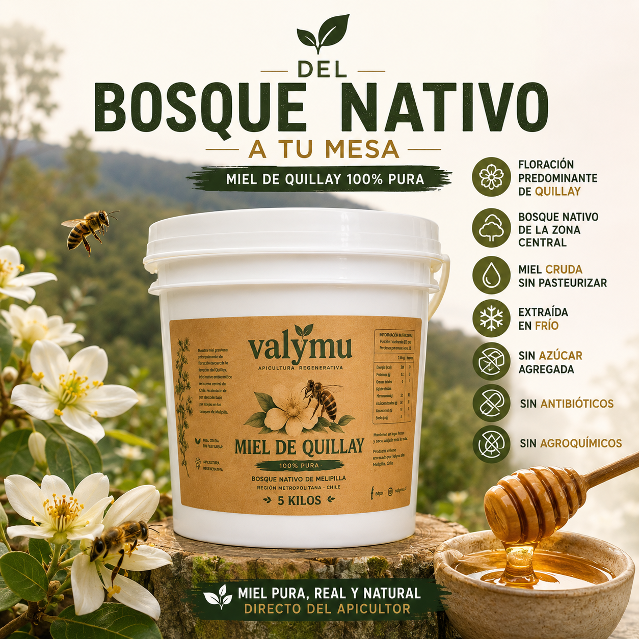 Miel de Quillay 5 Kg | Balde de Miel Pura 100% Natural