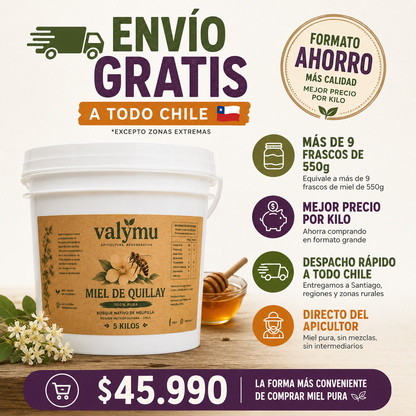 Miel de Quillay 5 Kg | Balde de Miel Pura 100% Natural