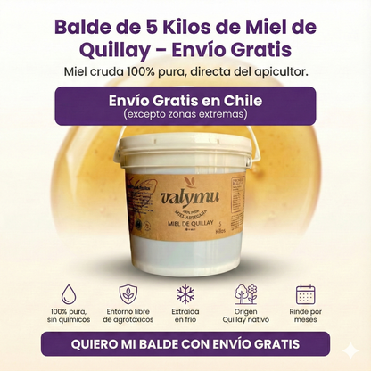 Balde Miel 5 Kilos Envio Gratis
