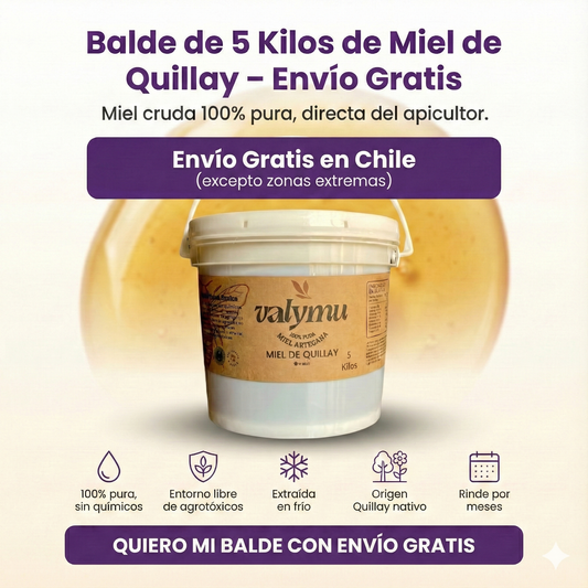 Balde Miel 5 Kilos Envio Gratis

