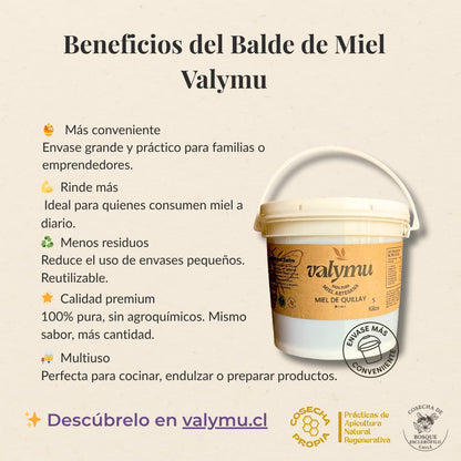 Balde de 5 Kilos de Miel de Quillay 100% Pura – Oferta Especial