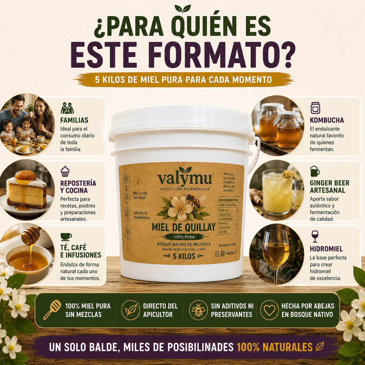 Miel de Quillay 5 Kg | Balde de Miel Pura 100% Natural