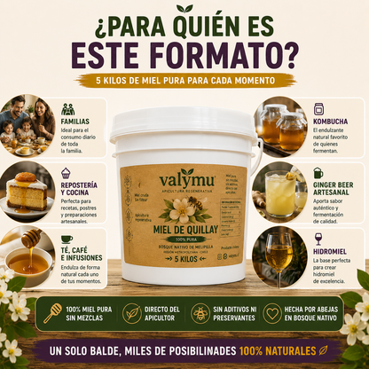Miel de Quillay 5 Kg | Balde de Miel Pura 100% Natural