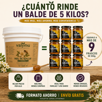 Miel de Quillay 5 Kg | Balde de Miel Pura 100% Natural