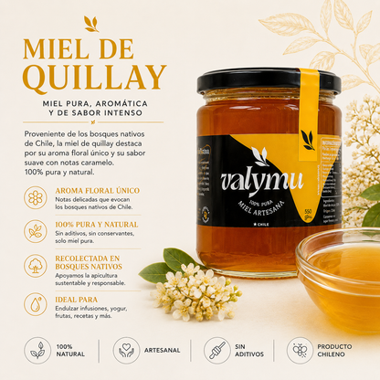 🍯 Pack Premium de Mieles Valymu | Cremada, Quillay y Sabores Gourmet
