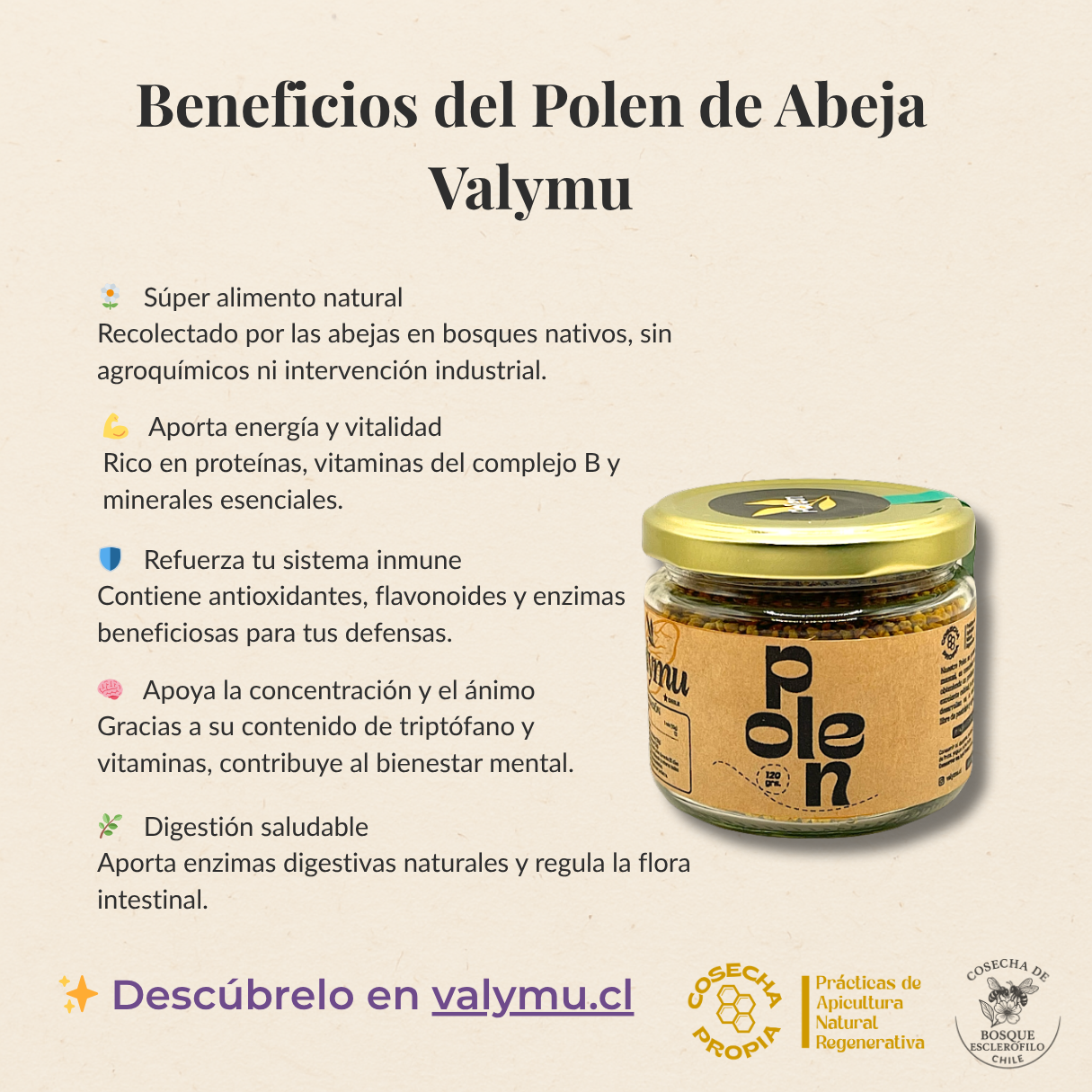 Polen Nativo Puro (120g) – Superalimento Energético