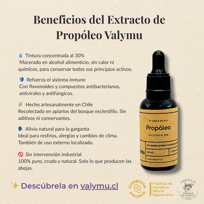 Extracto de Propóleo 30% en Gotas – Refuerzo Inmune Natural y Potente (30 ml)