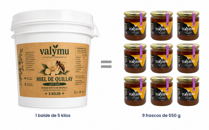 Un balde de 5 kilos de Miel de Quillay Valymu equivale a nueve frascos de 550 gramos