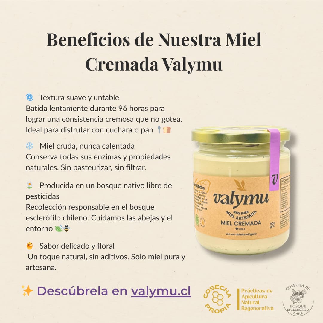 Pack x4 Miel Cremada de Quillay (500g c/u) – Siempre Suave, Siempre Lista