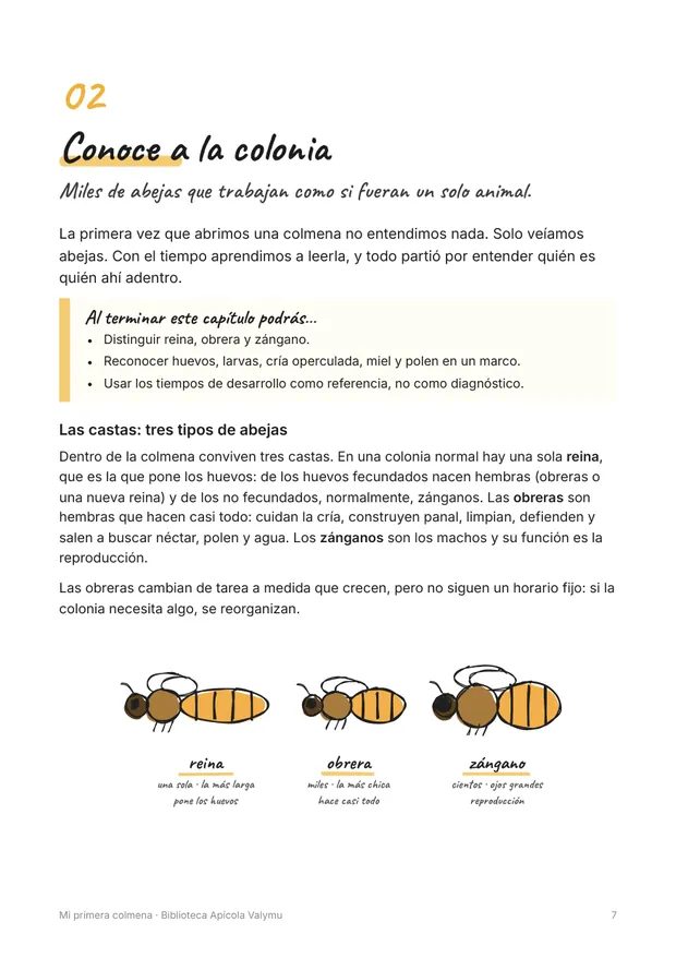 Página ilustrada sobre las castas de la colonia