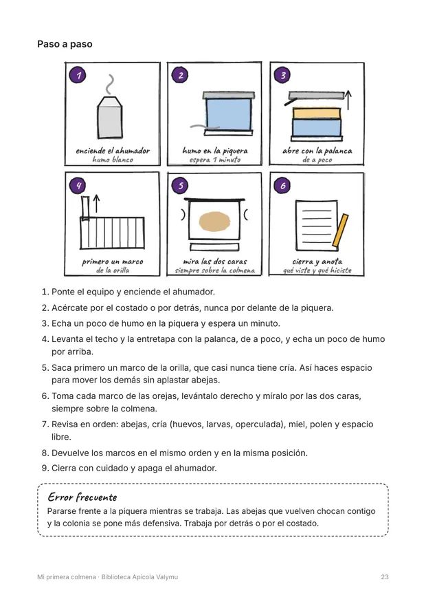 Página de la primera inspección, paso a paso