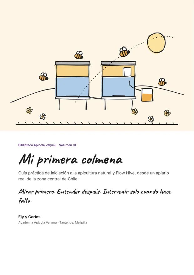 Portada de Mi primera colmena