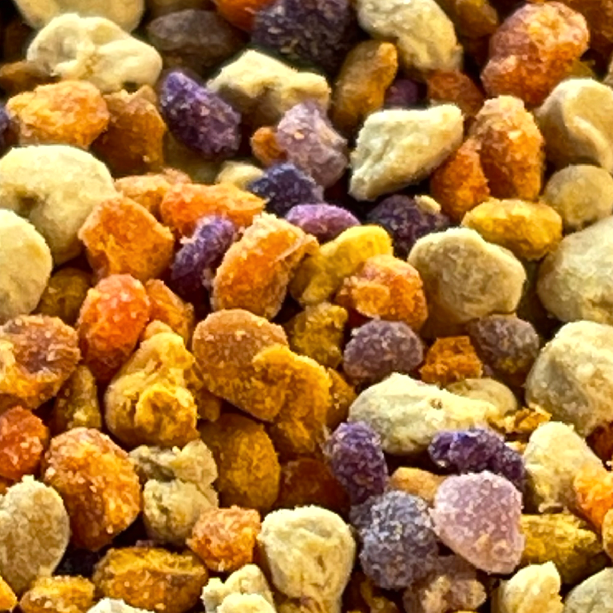 Polen de abeja del bosque nativo chileno: bolitas naranjas, amarillas, cremas y moradas, cada color de una flor distinta
